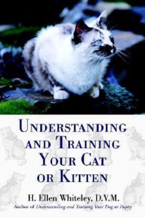 Understanding or Training Your Cat or Kitten